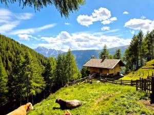 Bergbauern Alm in Ainet in Osttirol Almhuette Ainet